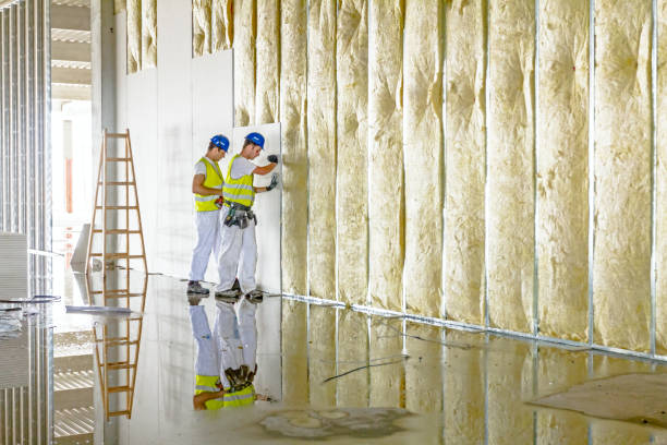 Best Blown-in Insulation in Morton, MS